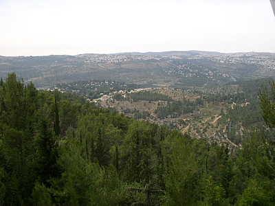 GTxO