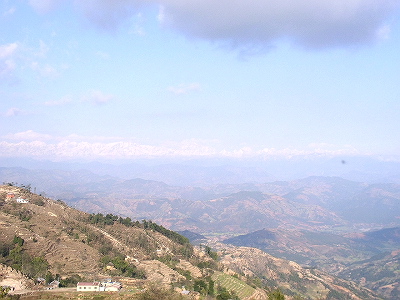 P3030019.jpg
