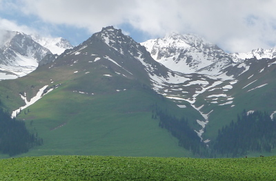 ieB
