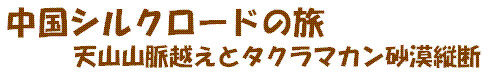 VN[h̗