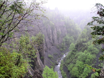 P6120814.JPG