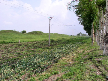 P6170974.JPG